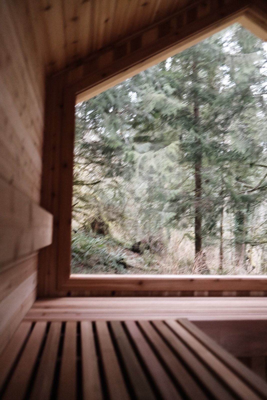 Sauna, Framed & Roofed